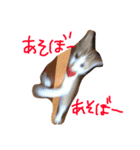 つなのスタンプ（個別スタンプ：21）