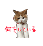 つなのスタンプ（個別スタンプ：26）