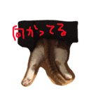 つなのスタンプ（個別スタンプ：33）