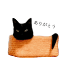 後藤家の猫（個別スタンプ：1）