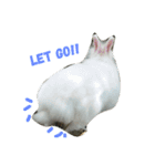 soimhadupet（個別スタンプ：8）