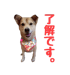 Takuo..（個別スタンプ：3）