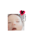 wataponchan-2-（個別スタンプ：1）