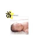 wataponchan-2-（個別スタンプ：6）