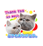 Nong Pong ＆ Kati fat cat (Eng v.)（個別スタンプ：36）