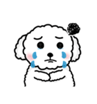 99DOG（個別スタンプ：2）