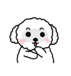 99DOG（個別スタンプ：5）
