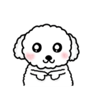 99DOG（個別スタンプ：6）