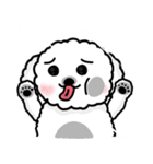 99DOG（個別スタンプ：15）