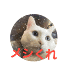 kanamekunto（個別スタンプ：8）