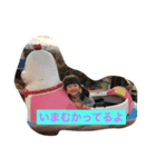 セラニカ（個別スタンプ：6）