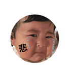 yahoookoyuki（個別スタンプ：1）