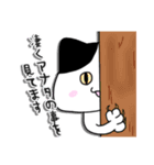 猫の金太くん（個別スタンプ：9）