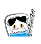 猫の金太くん（個別スタンプ：24）