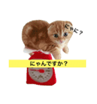 茶男（個別スタンプ：6）