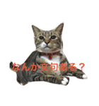 うちのにゃんこ2（個別スタンプ：5）