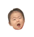 hanchan's stamp.（個別スタンプ：1）