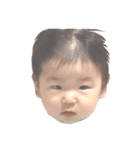 hanchan's stamp.（個別スタンプ：2）