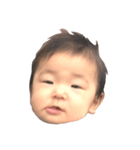 hanchan's stamp.（個別スタンプ：3）