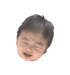 hanchan's stamp.（個別スタンプ：4）