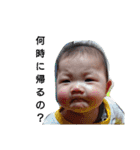 息子百面相（個別スタンプ：1）