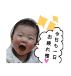 息子百面相（個別スタンプ：8）