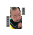 りゅうちゃんたいちゃん（個別スタンプ：5）