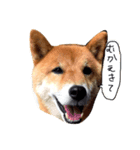 まるちゃんとやまちゃん（個別スタンプ：4）