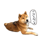 まるちゃんとやまちゃん（個別スタンプ：9）