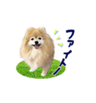可愛い可愛いあんずスタンプ（個別スタンプ：8）