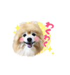 可愛い可愛いあんずスタンプ（個別スタンプ：11）