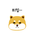 shiba is a dog name（個別スタンプ：1）