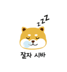 shiba is a dog name（個別スタンプ：6）