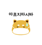 shiba is a dog name（個別スタンプ：9）