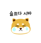 shiba is a dog name（個別スタンプ：10）