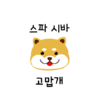 shiba is a dog name（個別スタンプ：11）