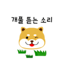 shiba is a dog name（個別スタンプ：19）