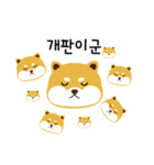 shiba is a dog name（個別スタンプ：20）