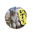 よししあみみ（個別スタンプ：4）