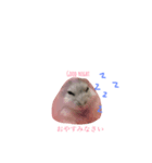 ハムニャん（個別スタンプ：6）