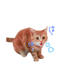 猫のなすとツナのスタンプ（個別スタンプ：22）