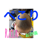 らいあライフ2（個別スタンプ：8）