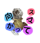 牛山さんちの結葵坊ちゃん（個別スタンプ：22）
