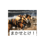 ジャックはうちの犬（個別スタンプ：7）