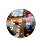 chocoinu（個別スタンプ：4）