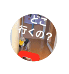 chocoinu（個別スタンプ：6）