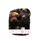 真鍋家ぽよスタンプ（個別スタンプ：12）