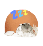 ハムスターのチロちゃん（個別スタンプ：2）