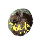 くれあ（個別スタンプ：3）
