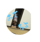 くれあ（個別スタンプ：6）